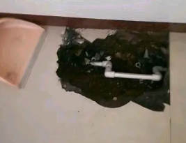 定兴县卫生间测漏水多少钱